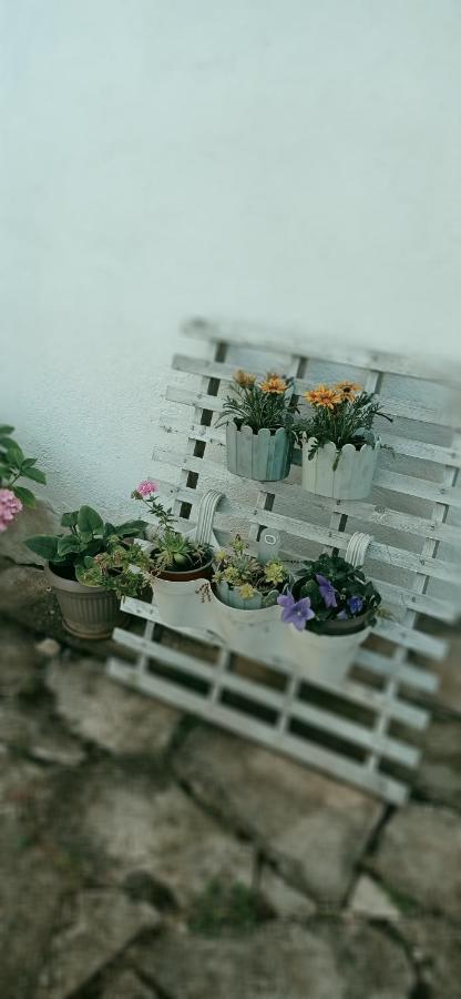 Apartment Silvija Vinišće 외부 사진